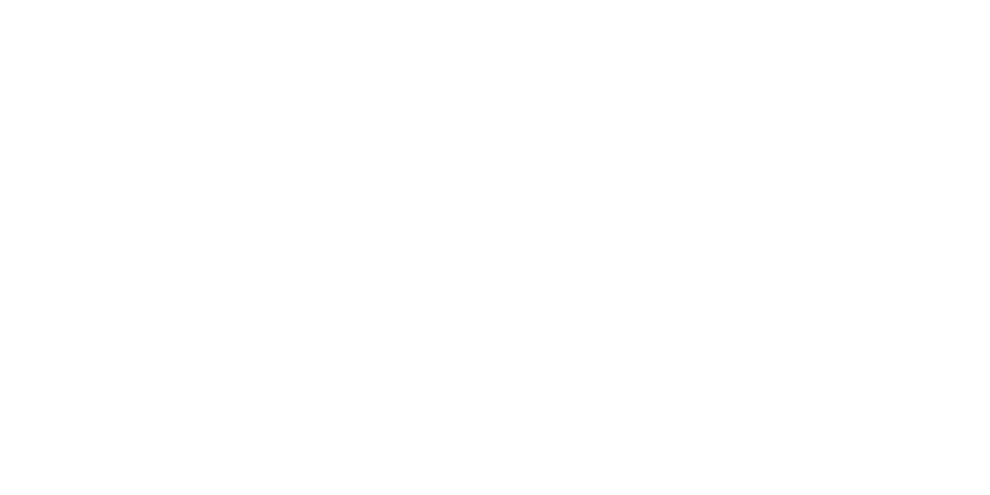 Best Cinematography - Festival 2024